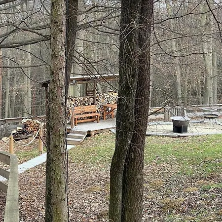 Waldhuette Fuchsbau *